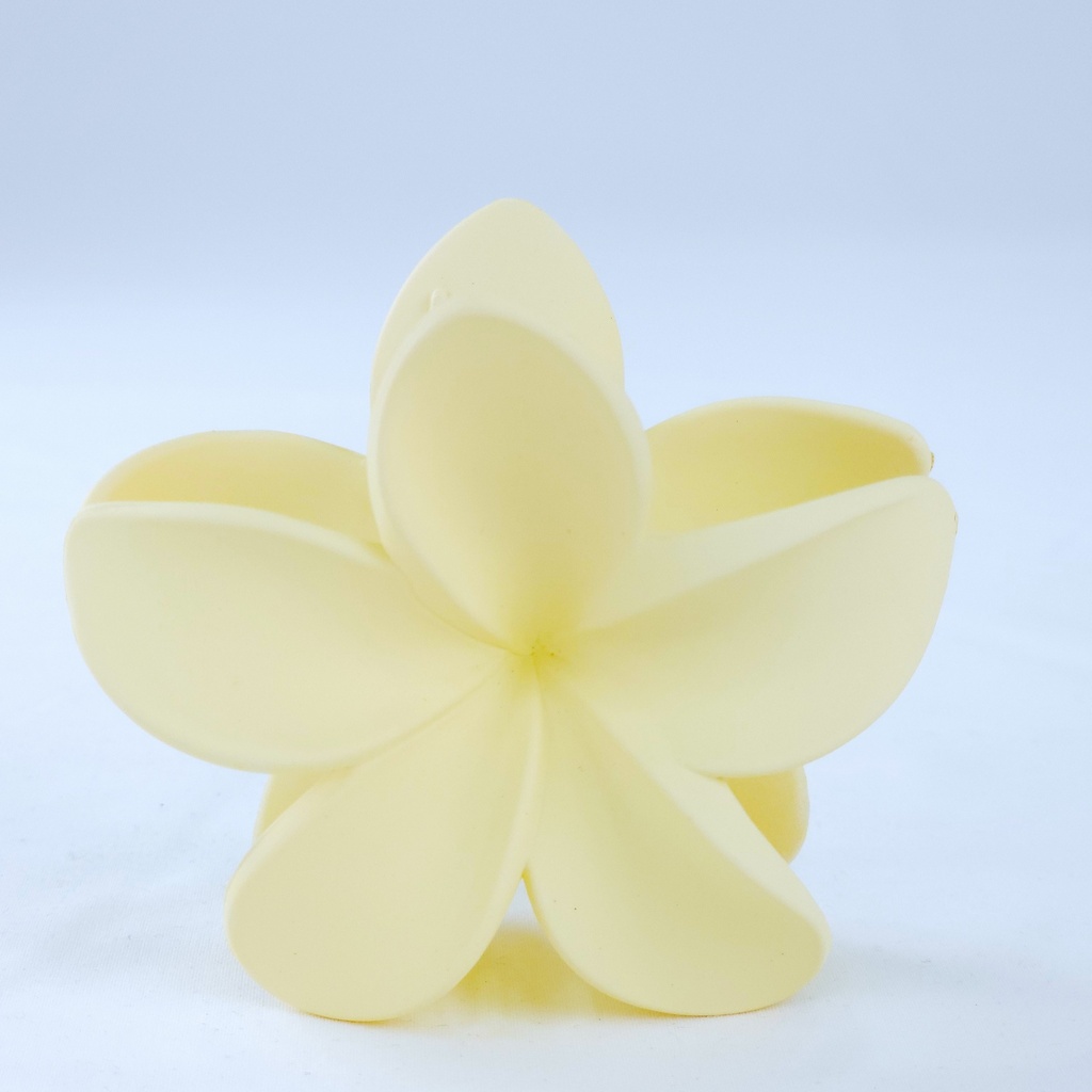 PELLIZCO PLASTICO P/ CABELLO 8 CM